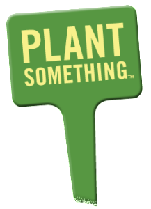 plant something