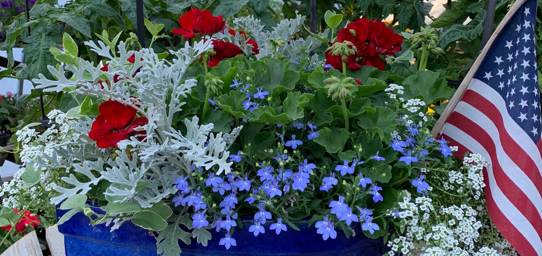 red white blue planter